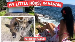 Life on Big Island Hawaii VLOG  Liliʻuokalani Gardens  Coconut Island  Banana Harvest [upl. by Felice]