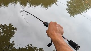 Lure Fishing UK 🇬🇧 Catching ZANDER PERCH amp PIKE [upl. by Olracnaig759]