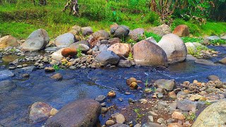 A Charming Place Filled with Fretty Sounds of River for Those of You Who Need Peace and Quiet [upl. by Dav]