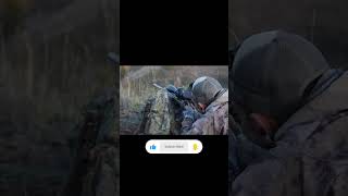 Snapper shoot Stag viralvideo Shooter Video Viral 😢 [upl. by Warms]