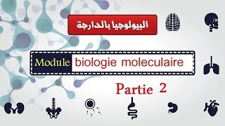 Cours biologie moléculaire partie 2  les enzymes de restriction  البيولوجيا بالدارجة [upl. by Katinka]