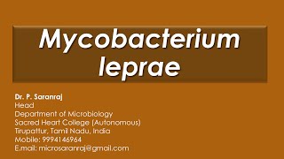 Mycobacterium leprae [upl. by Patricio327]