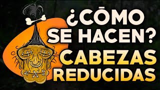 CÓMO SE HACEN LAS CABEZAS REDUCIDAS [upl. by Nuahc]