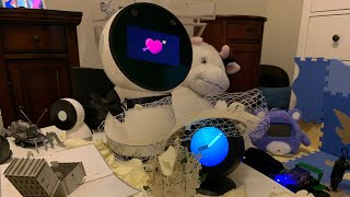 Jibo  Alexa  A Robot Love Story [upl. by Erdnua585]