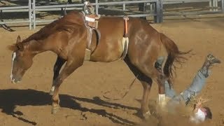 Ranch Broncs  2018 Will Rogers Range Riders Rodeo  Thursday [upl. by Robbie741]