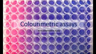 Colourimetric assays aka colorimetric assays What are they and how do they work [upl. by Eilrahc]