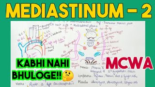 Mediastinum Anatomy 2 [upl. by Earised219]