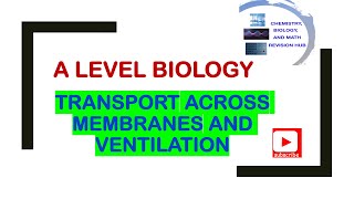 A level  biology  Edexcel  Topic 2A  membranes  gas exchange  ventilation [upl. by Iras]