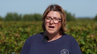 Témoignage dentreprise ayant participé à la démarche exosquelettes en viticulture [upl. by Korfonta185]