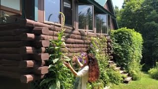 Mullein  A Walk in the Garden with Herbalist Rosemary Gladstar [upl. by Naenej]