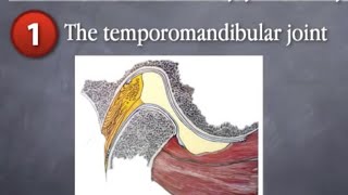 Seminar One Excerpt  10 Factors Of Masticatory System Harmony [upl. by Anitsihc]