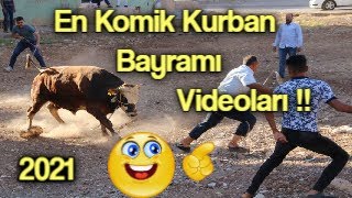 Kaçan Kurbanlıklar  En Komik Kurban Bayramı Videolari 2021 [upl. by Deborah]