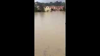 Alluvione Senigallia Borgo Bicchia sottacqua [upl. by Nref916]