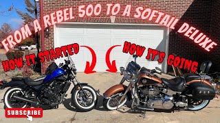 I went from a Honda Rebel 500 to a Harley Davidson Softail Deluxe [upl. by Hilaria]