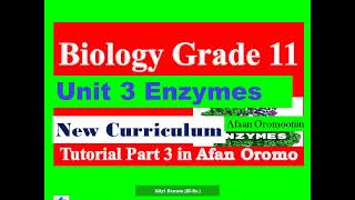 New Curriculum Biology Grade 11 Unit 3 Enzyme Tutorial Part 3 in Afan Oromo [upl. by Haelem]