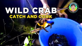 Wild Crabs Catch and Cook  From River to Plate [upl. by Miguel928]