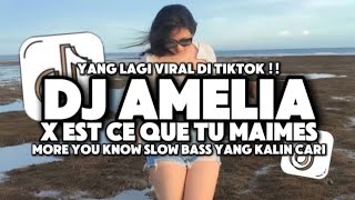 DJ AMELIA X EST CE QUE TU MAIMES X MORE THAN YOU KNOW SLOW BASS VIRAL TIKTOK 2024 [upl. by Naud540]