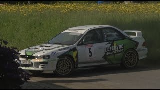 Rallye Salamandre 2014 [upl. by Eceer]