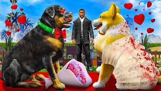 CHOP Gets MARRIED In GTA 5 Mods [upl. by Anitrebla]