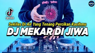 DJ SEKILAS DI AIR YANG TENANG  MEKAR DI JIWA X TRAGEDI KAMAR MANDI REMIX TIKTOK TERBARU 2023 [upl. by Einamrej730]