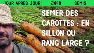 Semer des carottes  En sillon ou sur rang large [upl. by Karlie109]