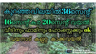 കുറഞ്ഞവിലയിൽ 36സെന്റ് വയനാട് കാക്കവയൽ low price land fore sale in wayanad [upl. by Nnaasil582]