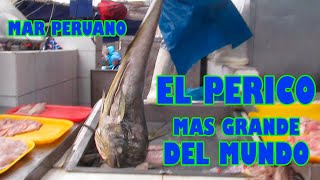 quotCocinando deliciosos platillos con los mejores pescados y mariscos del terminal pesqueroquot [upl. by Sugirdor29]