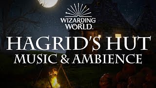 Harry Potter Music amp Ambience  Hagrids Hut [upl. by Cassy]