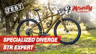 Test Gravel Specialized Diverge STR 2023 [upl. by Elatnahs]