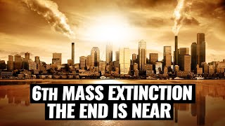 The 6th Mass Extinction Is Happening Now [upl. by Charlena]