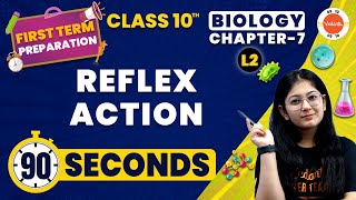 Reflex Action in 90 Seconds  Control and Coordination Class 10  NCERT Class 10 Biology Chapter7 [upl. by Zertnom]