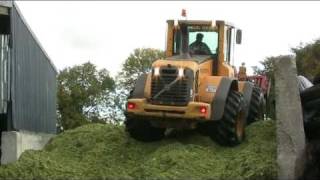 Harvesting Maize with Volvo L70F Claas Jaguar amp John Deere 7930 with Smyth Trailers [upl. by Kreager]