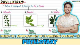 Morphology of Flowering Plants Lec 12 Phyllotaxy Class 11 NEET Neetology [upl. by Ettenaj183]