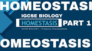 IGCSE Homeostasis Part 1  Biology igcse iprasannalc biology [upl. by Niatirb960]