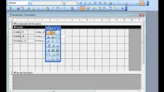 Access 2003 Insertar calendario en un formulario  wwwofimaticaparatorpescom [upl. by Nlocnil452]