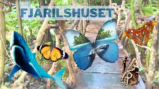 Fjärilshuset in Hagaparken🦋in StockholmThe Butterfly House Haga Oceanfeel free to subscribe⬇︎346 [upl. by Kristyn]