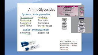 Pharmacology 743 b Aminoglycosides Streptomycin Gentamicin Toxicity Shared properties Ototoxicity [upl. by Courtund196]