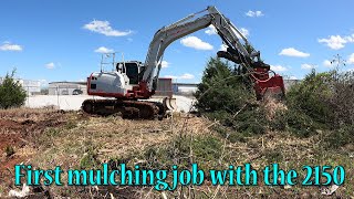 Takeuchi TB2150 With Fecon Forestry Mulcher [upl. by Berkley199]