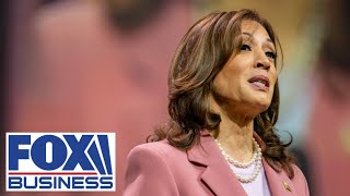 VP Harris speaks for first time after Biden drops 2024 bid [upl. by Romney]