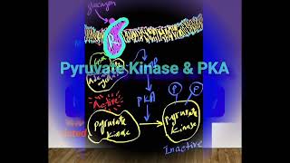 PKA amp Inhibition of Glycolysis Metabolism Made Easy [upl. by Bette-Ann]