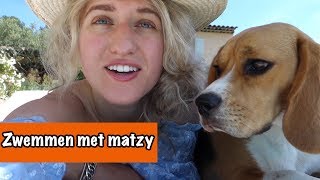 Matzy leert zwemmen  DierenpraatTV [upl. by Enyamrahs]