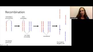 Introduction to Genetic Relatedness [upl. by Rialc623]