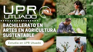 Testimonial de Nadia Dorado  Agricultura Sustentable  𝙐𝙣𝙞𝙫𝙚𝙧𝙨𝙞𝙙𝙖𝙙 𝙙𝙚 𝙋𝙪𝙚𝙧𝙩𝙤 𝙍𝙞𝙘𝙤 𝙚𝙣 𝙐𝙩𝙪𝙖𝙙𝙤 [upl. by Mozes]