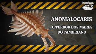 ANOMALOCARIS O TERROR DOS MARES DO CAMBRIANO [upl. by Landry799]