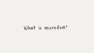 What is microRNA miRNA [upl. by Adlee]