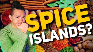 The Spice Islands Why Europe Colonized Southeast Asia [upl. by Barmen712]