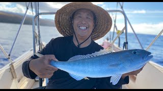 MGF14 Night Fishing in Hawaii for BAIT fish Bigeye Scad Akule and Mackerel Scad Opelu [upl. by Petua]