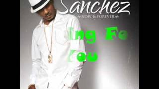 Sanchez  Longing For You lyrics [upl. by Novar]