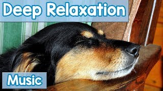 15 Hours of Deep Relaxation Music for Dogs Music to Relax Your Dog Completely and Help with Sleep [upl. by Viens341]