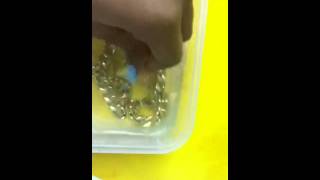 How to clean it juicy couture jewlery [upl. by Hampton]